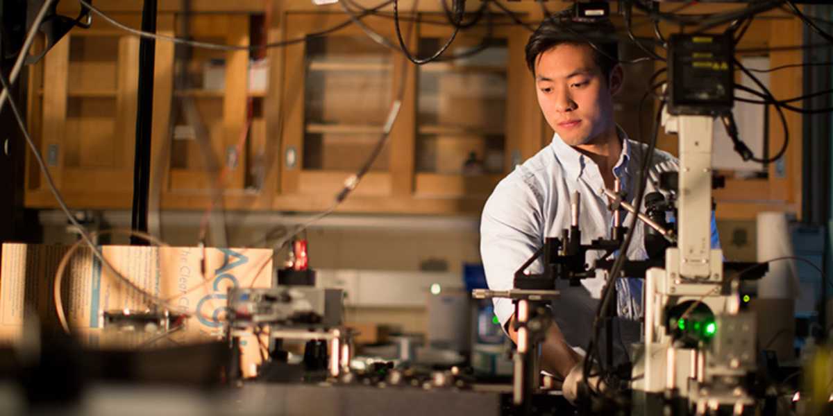 西北大学研究生热门专业:生物统计专业