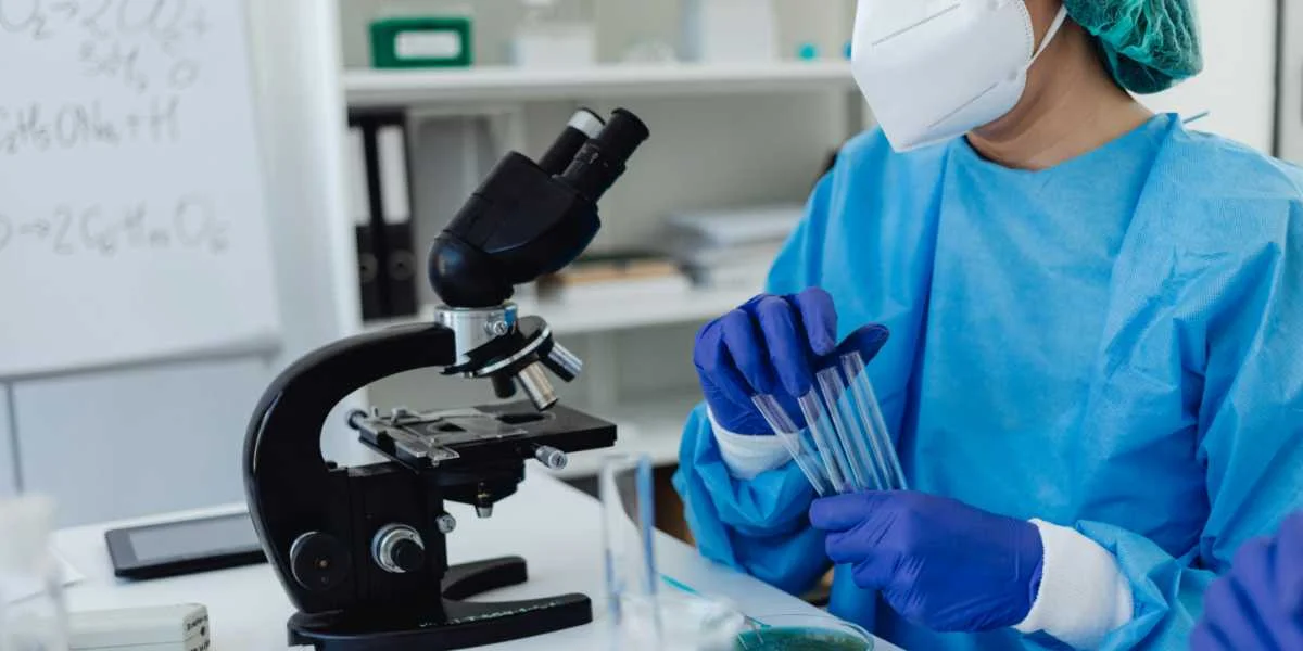 南加州大学研究生热门专业:生物医学工程专业