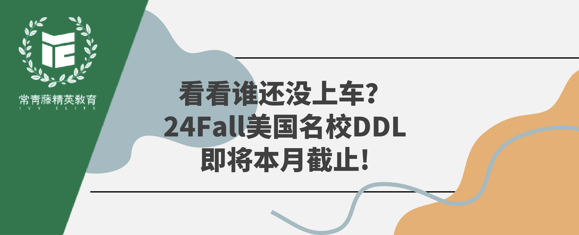 看看谁还没上车?24Fall美国名校DDL即将本月截止!