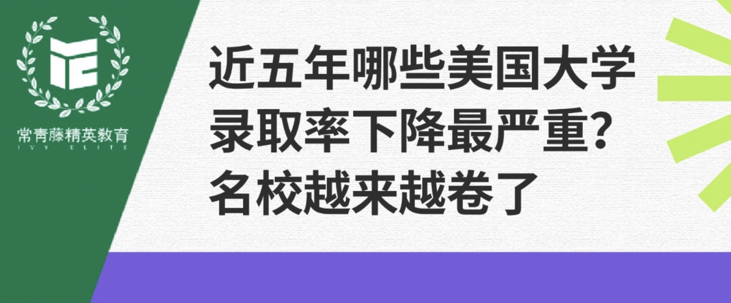 近五年哪些美国大学录取率下降最严重?名校越来越卷了