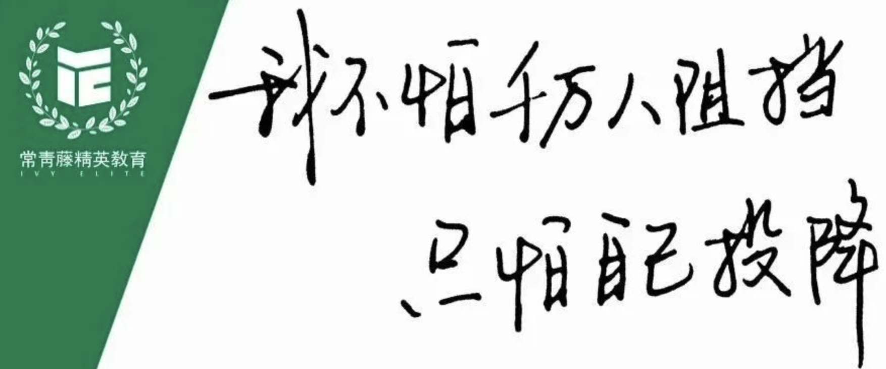 录取康奈尔的背后——不怕你拖延就怕你放弃,常青藤保姆级顾问团队就在你身边