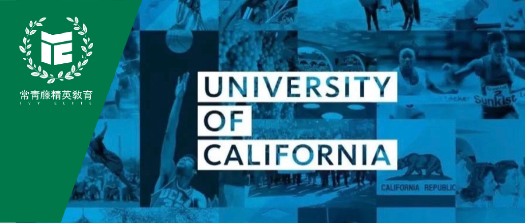 2023Fall加州大学各分校招生录取数据大公开,UCB国际生仅5.2%,UCLA6.1%...